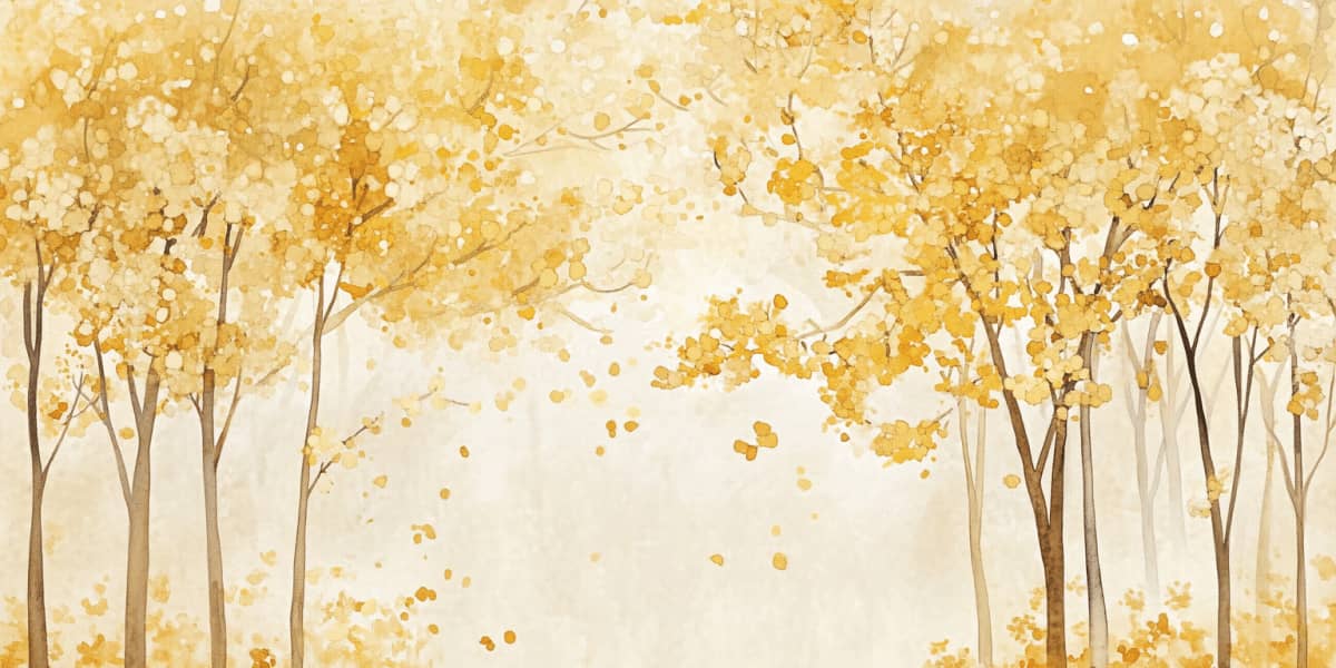 产品更新(2024 年 10 月)